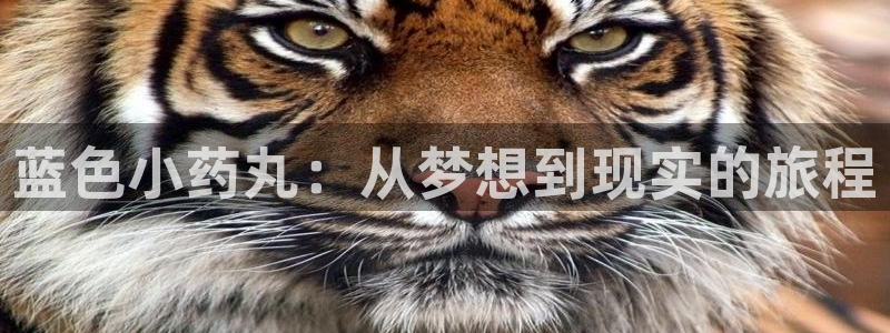 包子漫画免费漫画页面在线看下拉式：蓝色小药丸：从梦想到现实的旅程