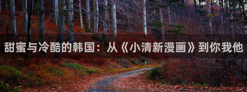 包子漫画下载教程：甜蜜与冷酷的韩国：从《小清新漫画》到你我他